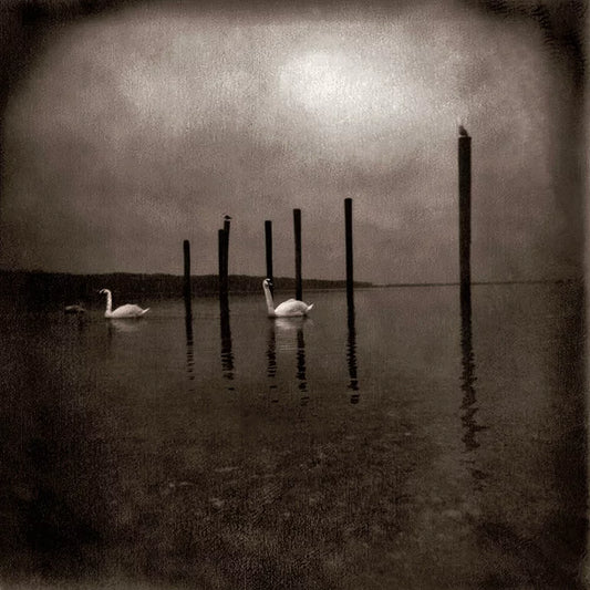 Om - Conference of the Birds (Black Vinyl)