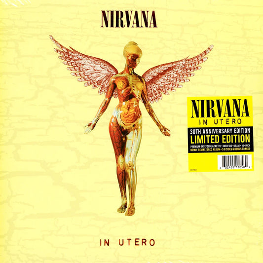 Nirvana - In Utero "30th Anniversary Edition" (Limited and Expanded Edition on 180g Black Vinyl + 10" Vinyl and more)