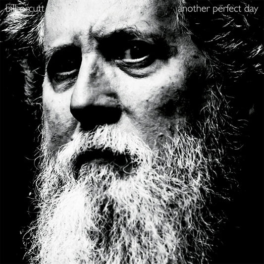 Bill Orcutt - Another Perfect Day (Black Vinyl)