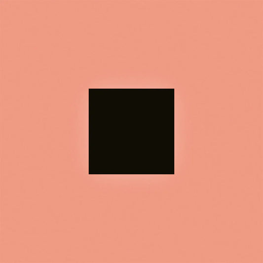 Bon Iver - SABLE, fABLE (Double Black Vinyl)