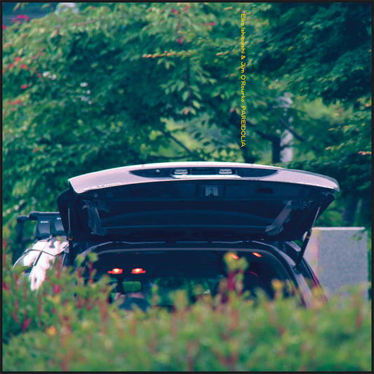 Eiko Ishibashi & Jim O'Rourke - Pareidolia (Black Vinyl)