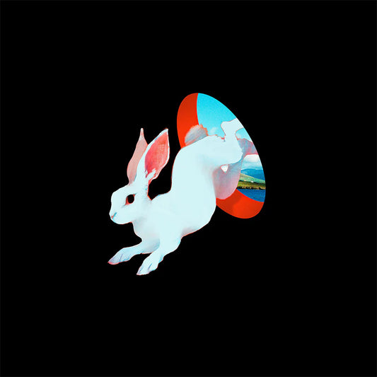 Ganser - Animal Hospital (Limited Edition on Future Blue Vinyl)