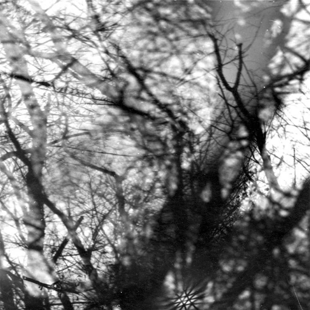 Grouper - Way Their Crept (20th Anniversary Reissue on Black Vinyl)