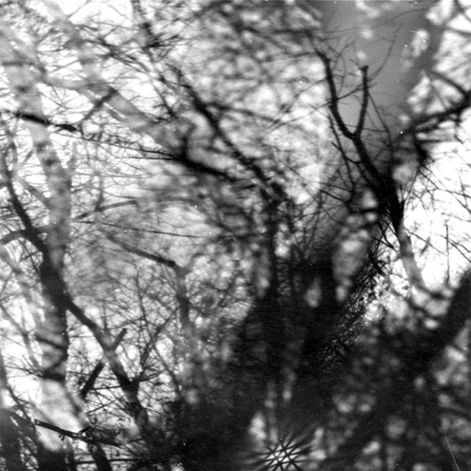 Grouper - Way Their Crept (20th Anniversary Reissue on Black Vinyl)