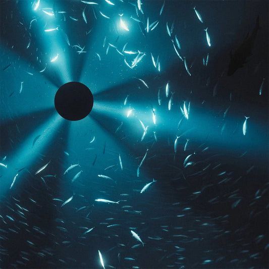 Laurel Halo - Midnight Zone (Original Soundtrack to the Film by Julian Charrière) (Black Vinyl w/ Booklet)