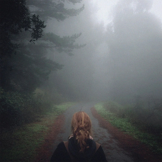 MONO - Under the Pipal Tree (25th Anniversary Edition on Double Iridescent Forest Night Vinyl)