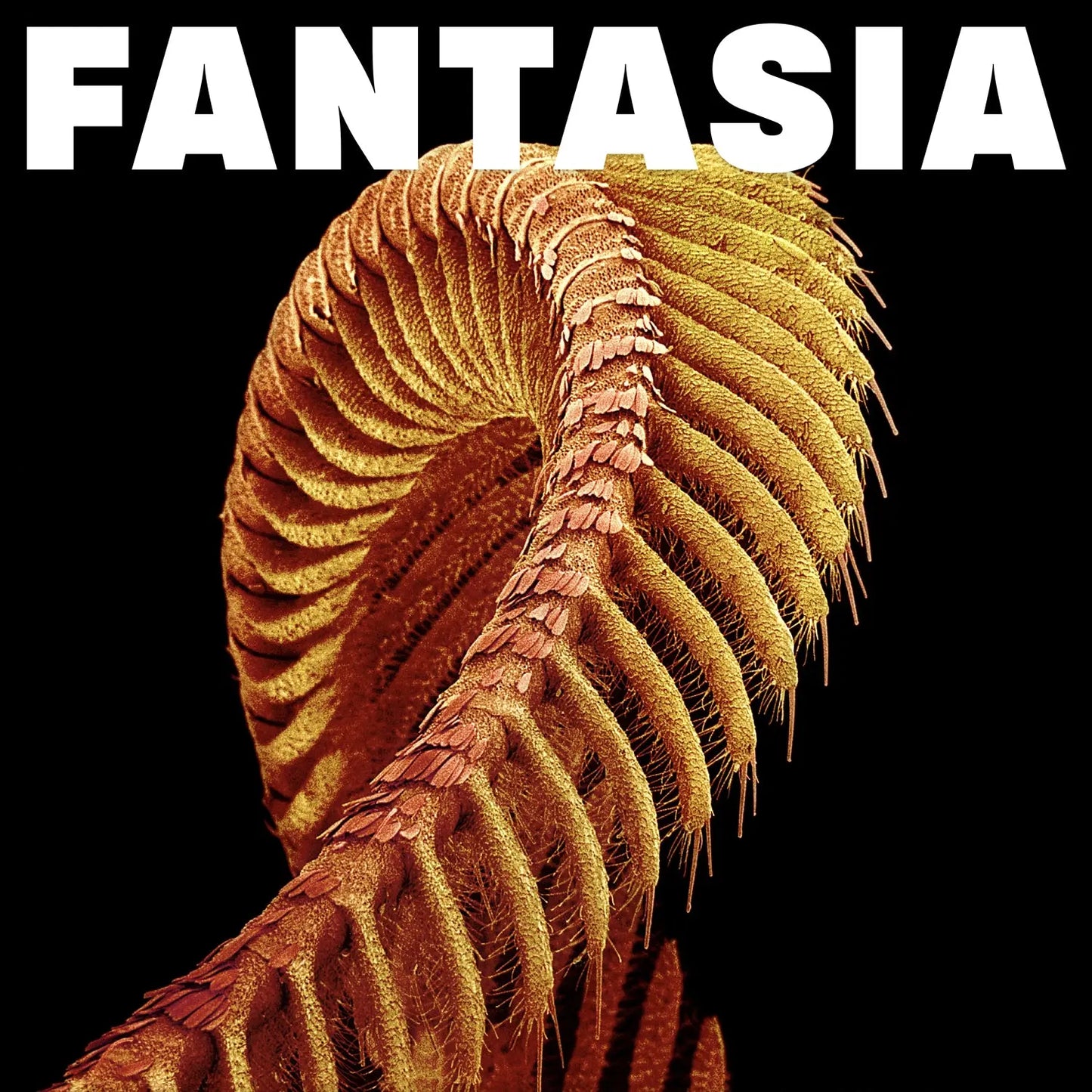 SLIFT - Fantasia (Loser Edition on Double Sparkle Starlight Vinyl)