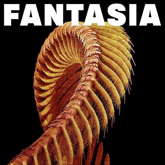 SLIFT - Fantasia (Loser Edition on Double Sparkle Starlight Vinyl)