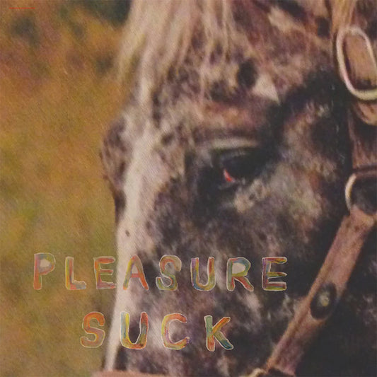 Spirit of the Beehive - Pleasure Suck (Limited Edition on Transparent Orange Vinyl)