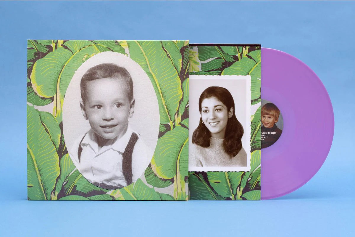 Sufjan Stevens - Carrie & Lowell (10th Anniversary Edition on Double Violet Vinyl)