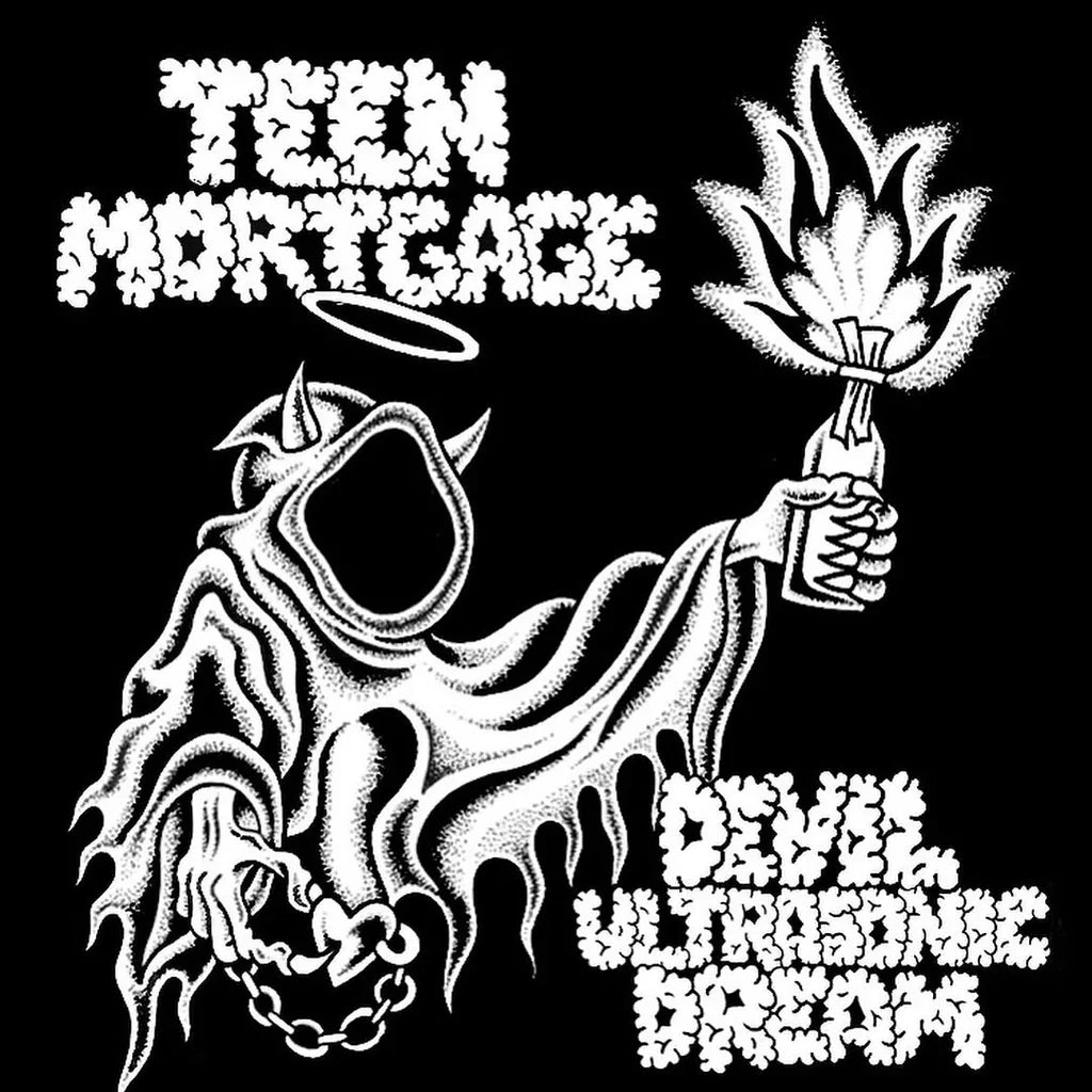 Teen Mortgage - Devil Ultrasonic Dream (Black Vinyl)