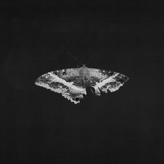 Kendrick Lamar - To Pimp a Butterfly "10th Anniversary" (180g o Double Black Vinyl)