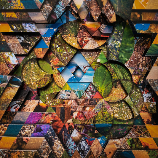 Miguel Atwood-Ferguson - Les Jardins Mystiques Vol. 1 (Limited Edition on Quadruple Black Vinyl w/ Obi-Strip)