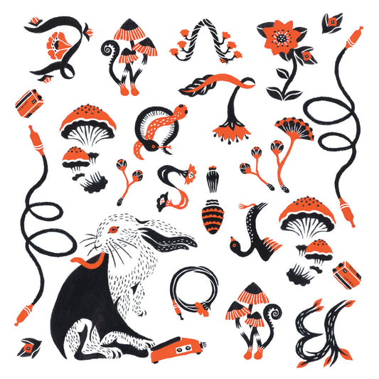 Boris - LΦVE & EVΦL (Black Vinyl)