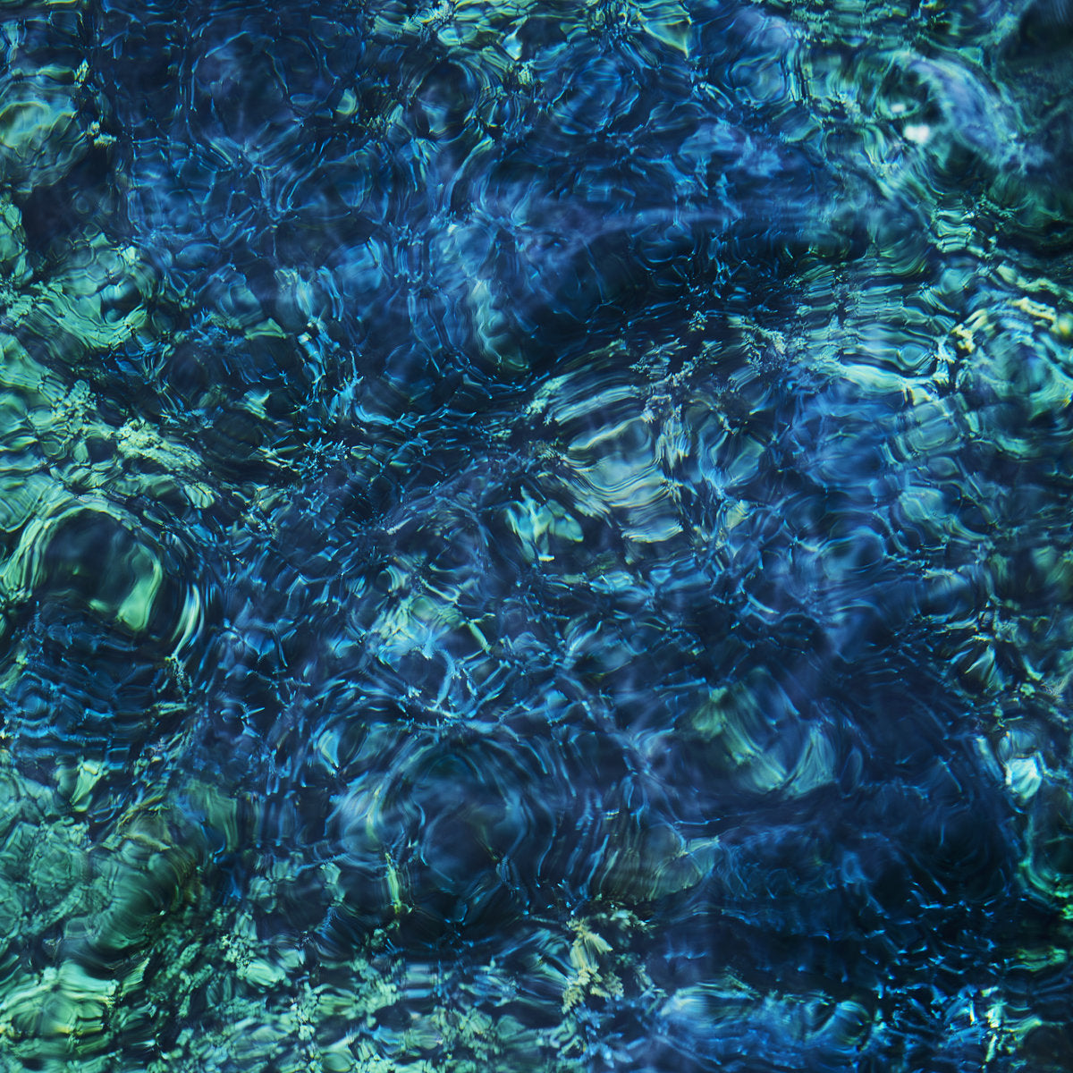 Ichiko Aoba - Luminescent Creatures (Black Eco Vinyl)