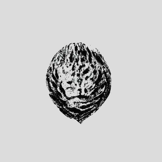 Black Lips - Bebop Armageddon (Detours & Offcuts From Season of the Peach) (Limited Edition on Black Vinyl)