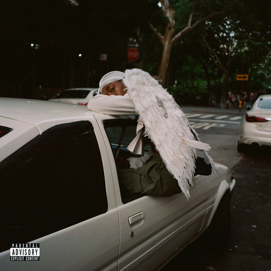 Blood Orange - Negro Swan (Double Black Vinyl)