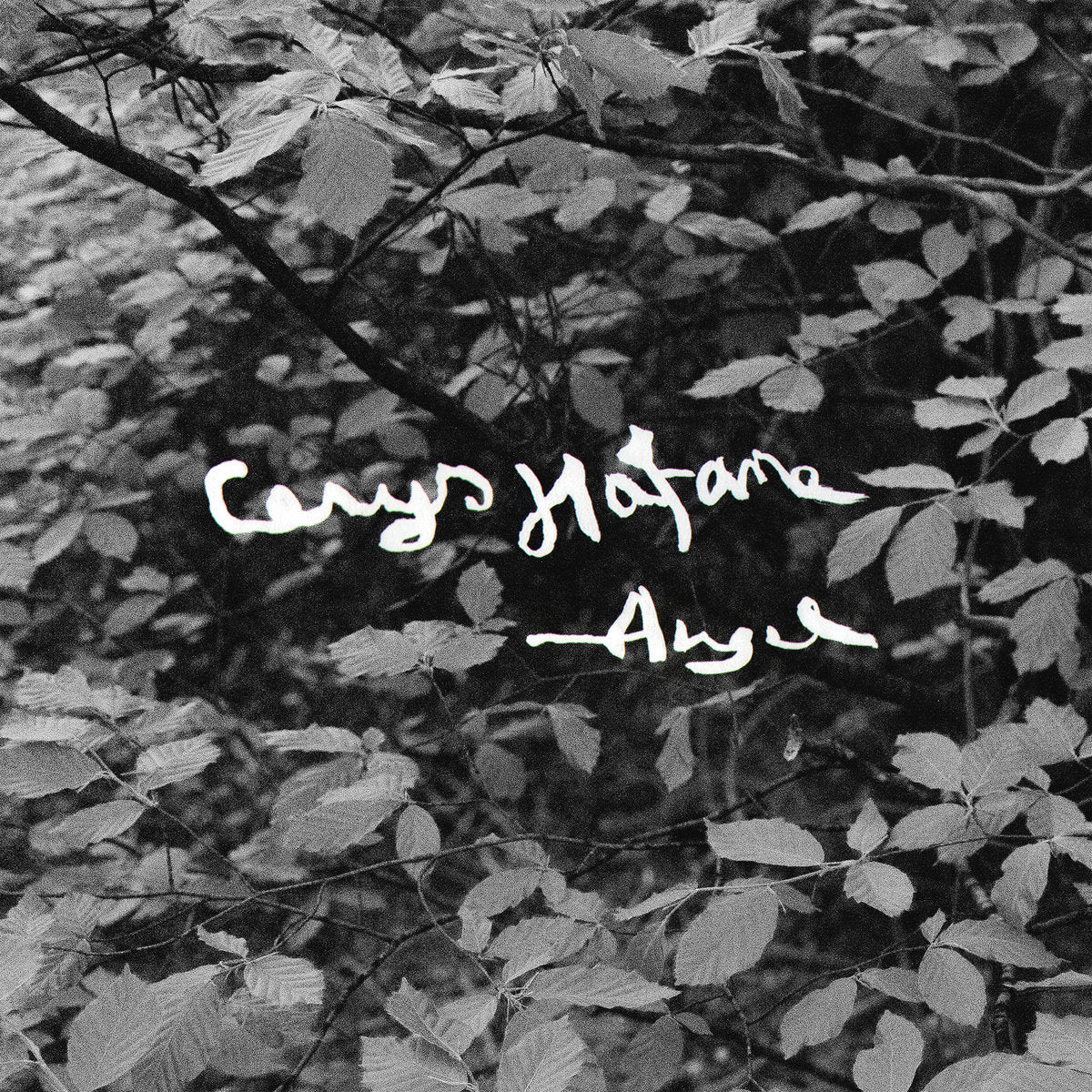 Cerys Hafana - Angel (Black Bio Vinyl)