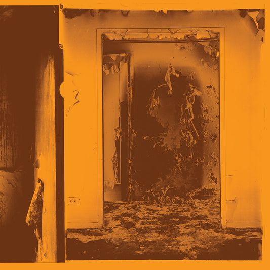 FACS - Present Tense (Limited Edition on Molten Metal Vinyl)