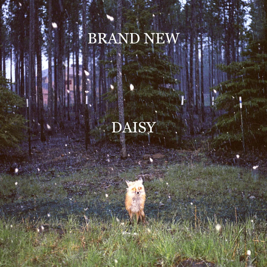 Brand New - Daisy (Black Vinyl)