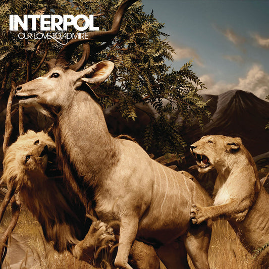 Interpol - Our Love to Admire (Double Black Vinyl)