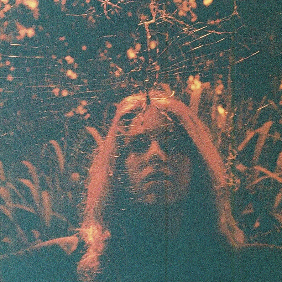 Turnover - Peripheral Vision (Limited Edition on Clear Orange Vinyl)