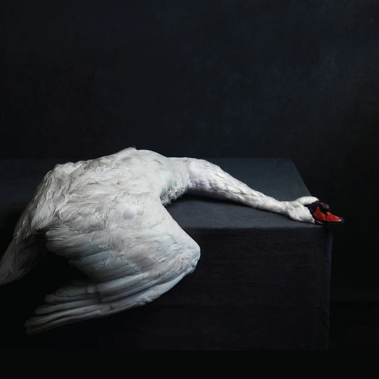 Amenra - Mass VI (Limited Edition on Double Blood Vinyl)