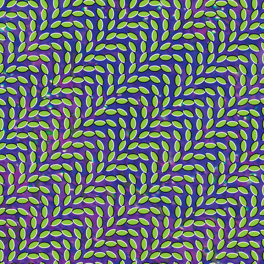 Animal Collective - Merriweather Post Pavilion (Double Black Vinyl)