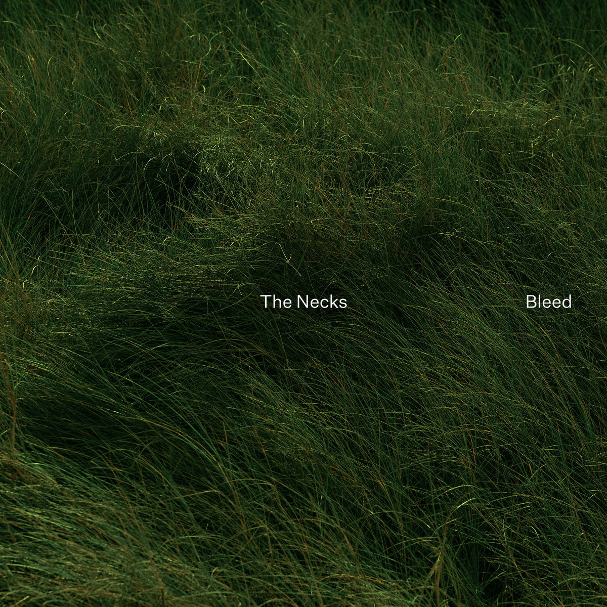 The Necks - Bleed (Black Vinyl)