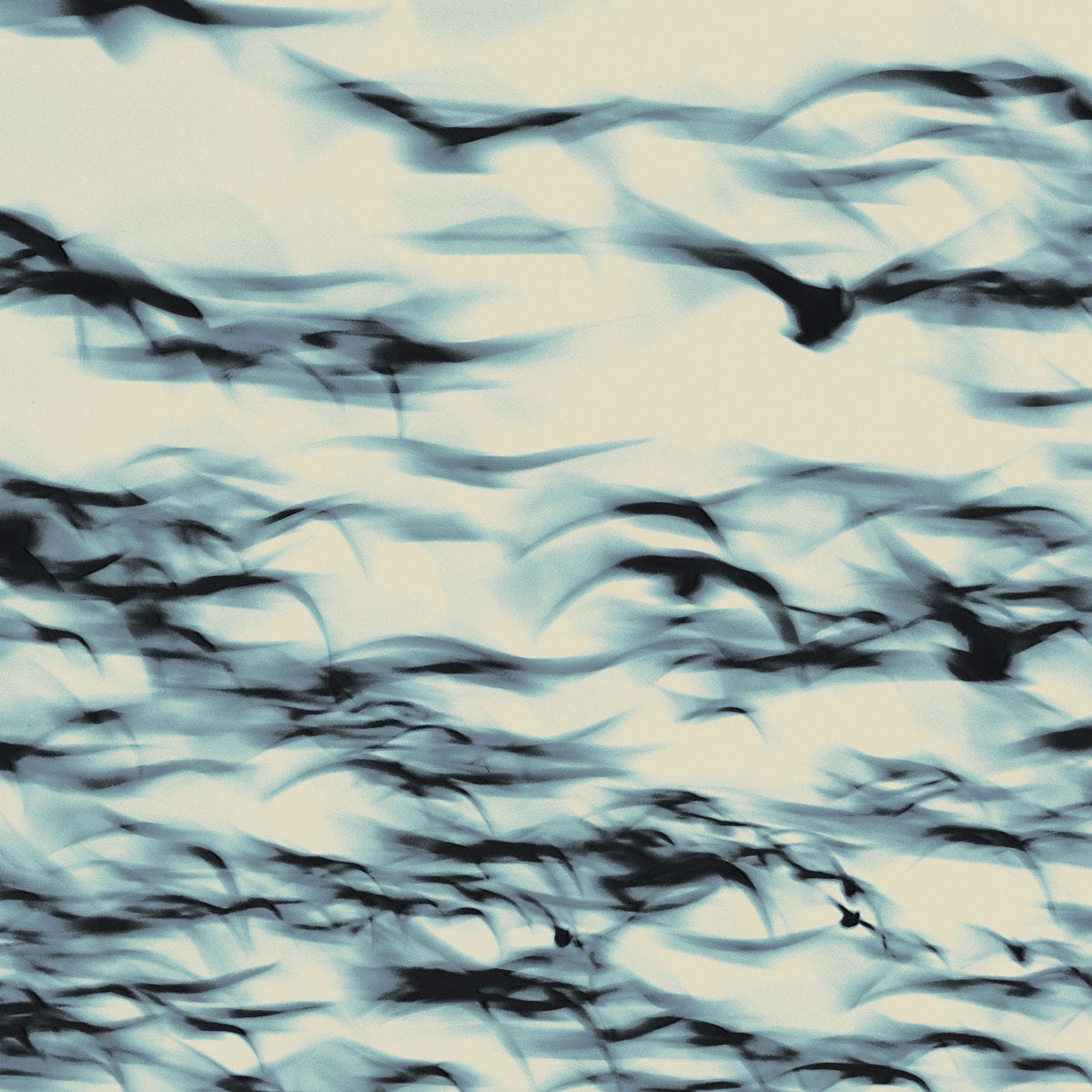 Bellbird - The Call (Black Vinyl)