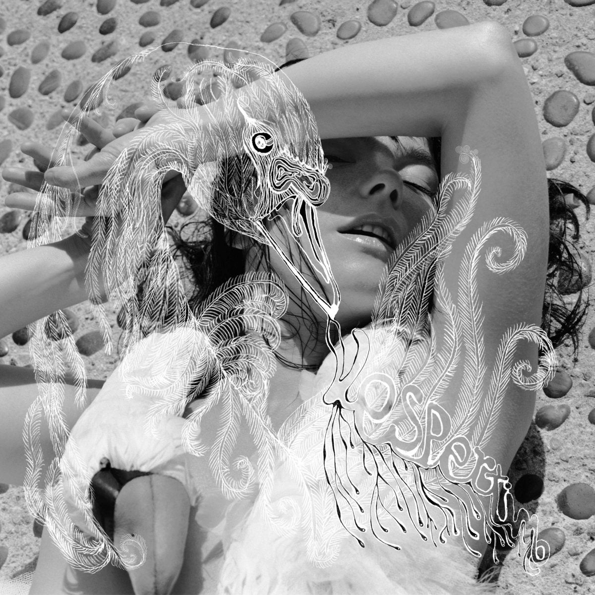 Björk - Vespertine (Double Black Vinyl)