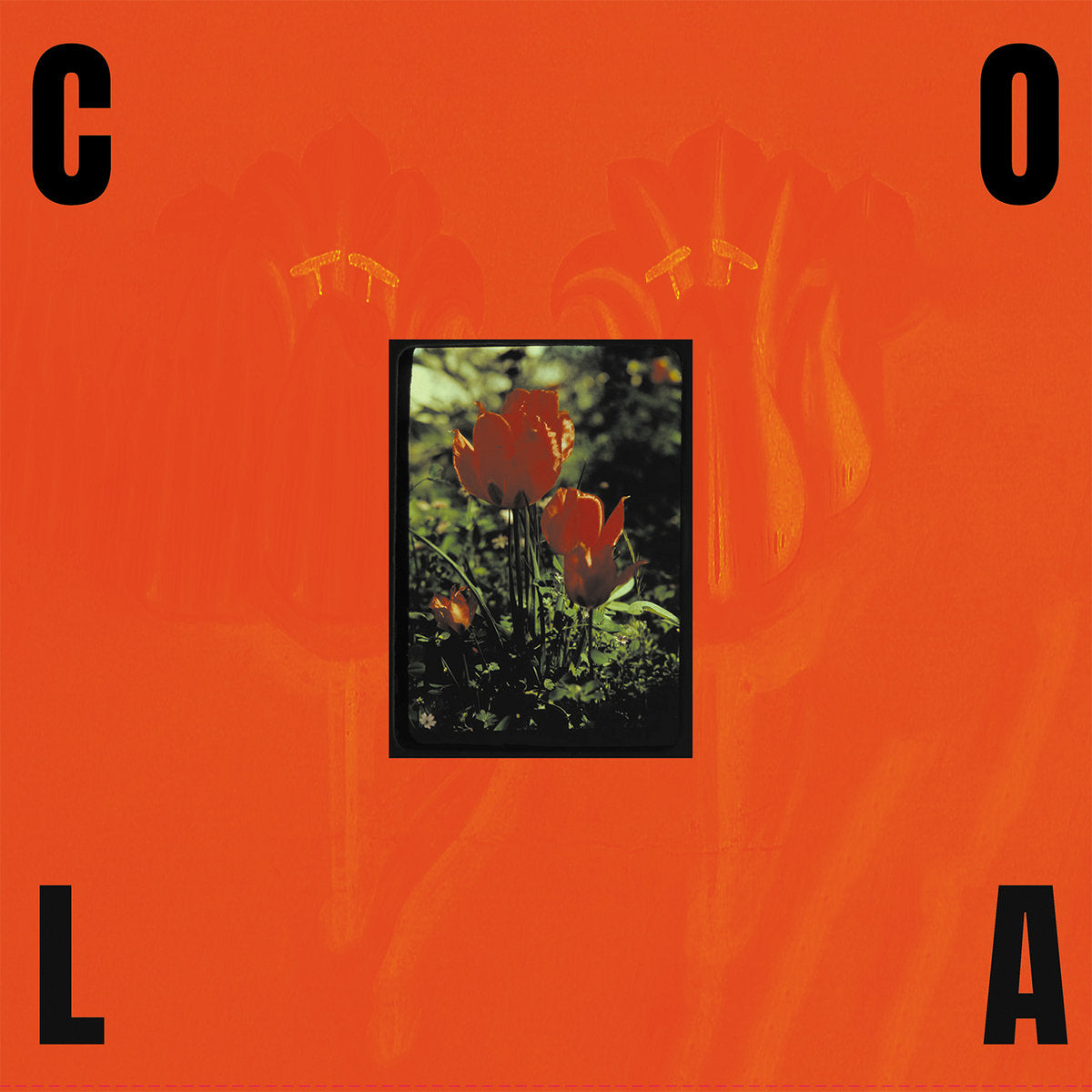 Cola - The Gloss (Limited Edition on Transparent Olive Green Vinyl)