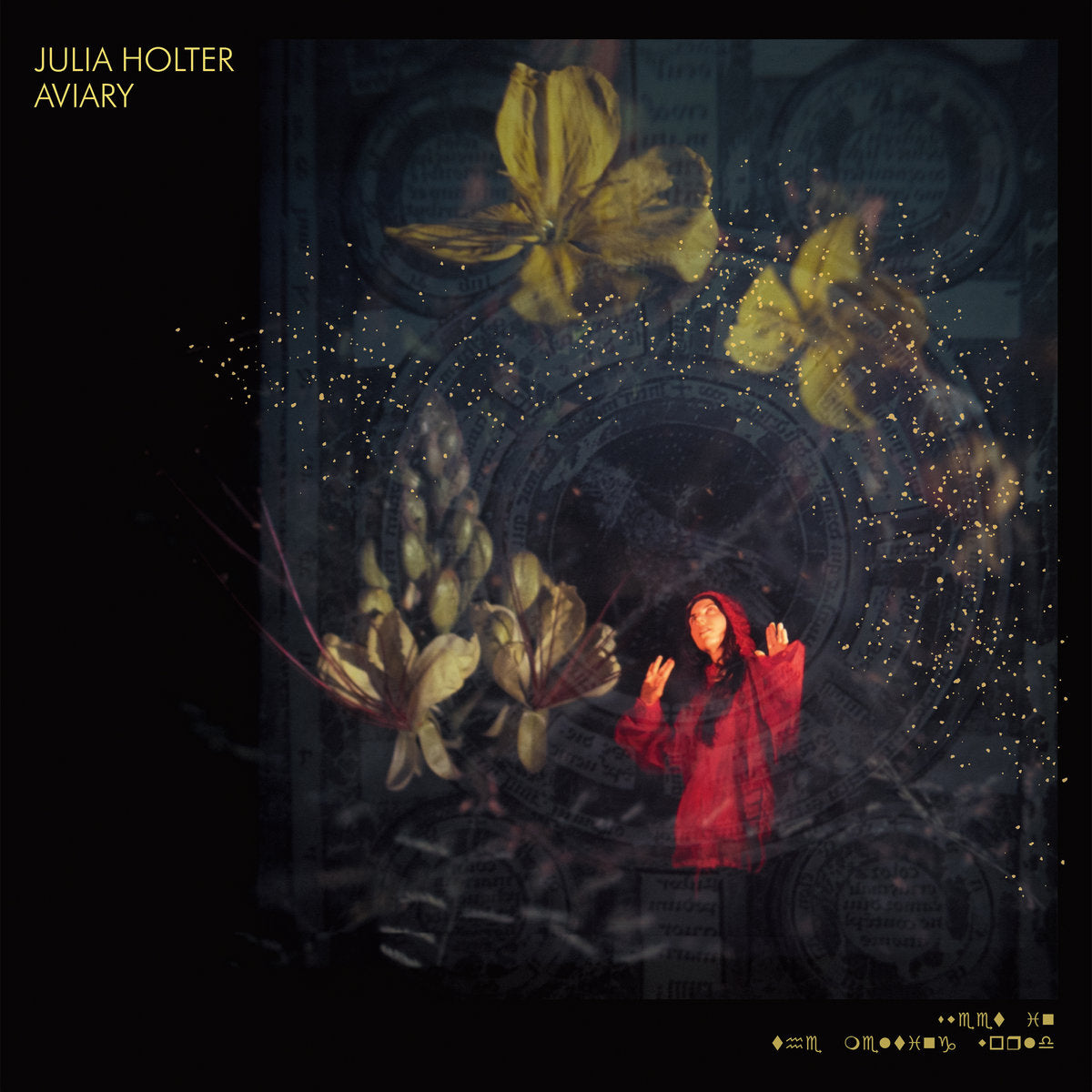 Julia Holter - Aviary (Double Black Vinyl)