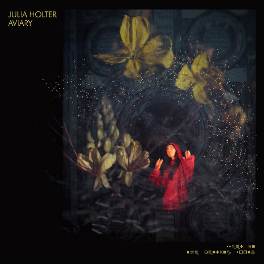 Julia Holter - Aviary (Double Black Vinyl)