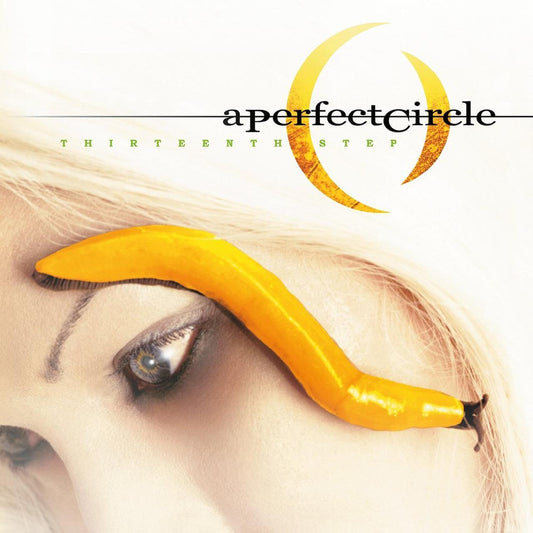 A Perfect Circle - Thirteenth Step (Double Black Vinyl)