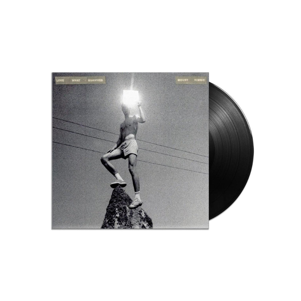 Mount Kimbie - Love What Survives (Double Black Vinyl)