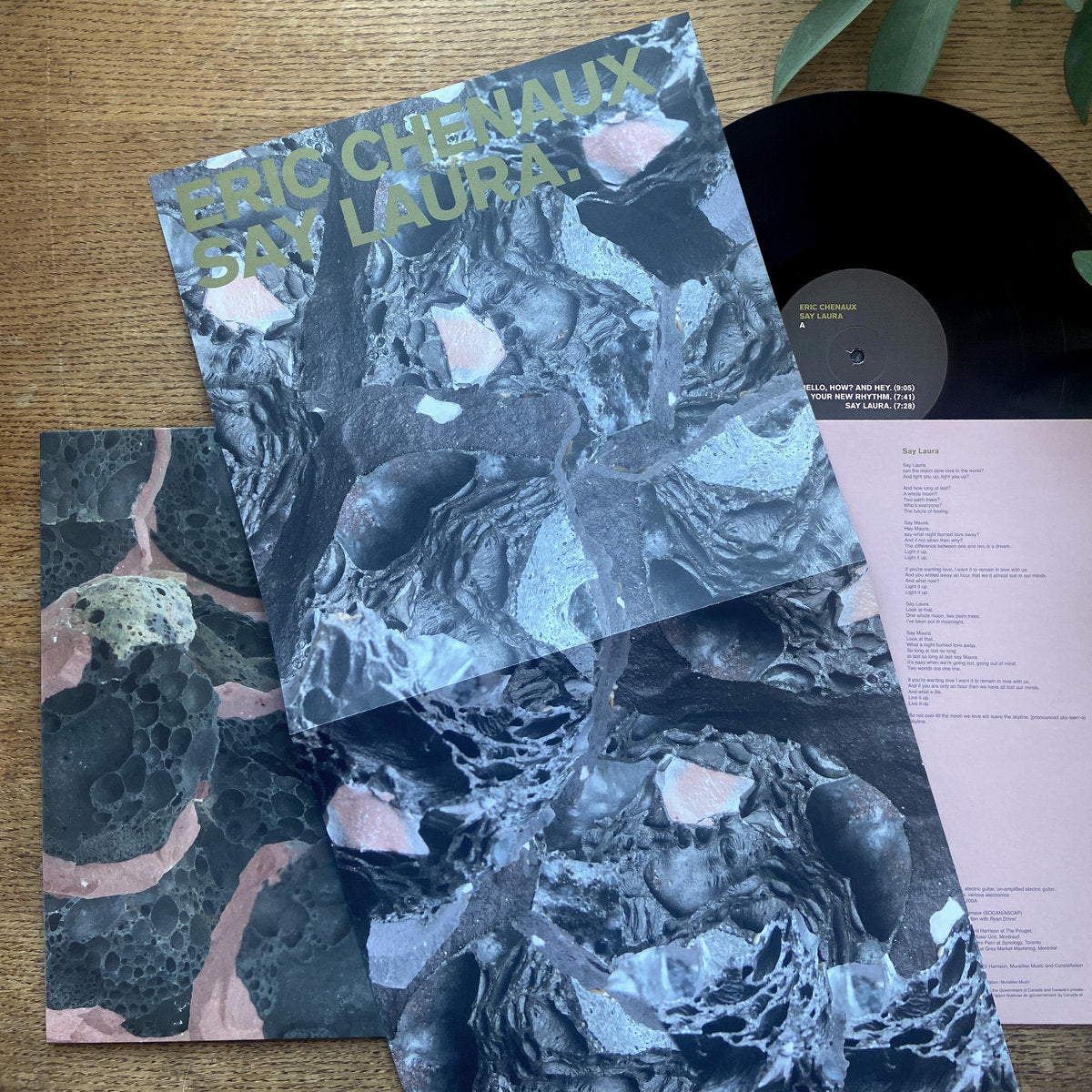 Eric Chenaux - Say Laura (180g Black Vinyl + Art Print Poster)
