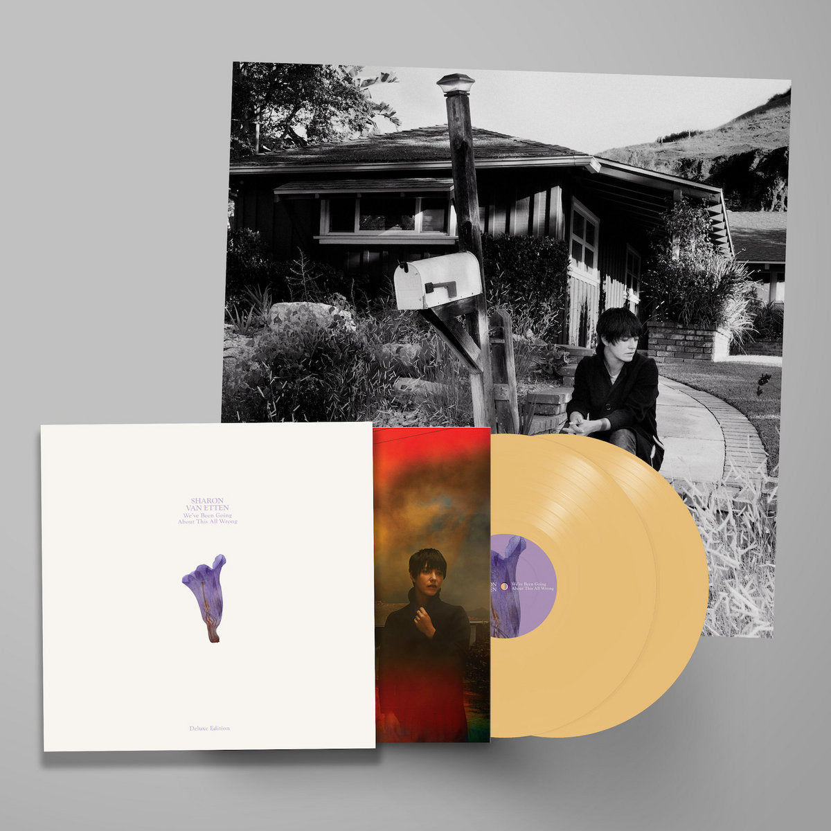Sharon Van Etten - We've Been Going About This All Wrong "Deluxe Edition" (Double LP on Custard Vinyl + Tri-fold Jacket and more...)