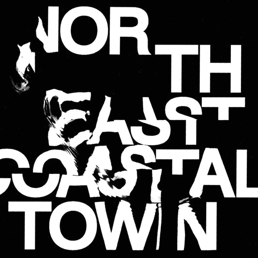 LIFE - North East Coastal Town (Black Vinyl)