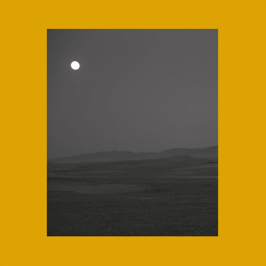 Siavash Amini & Eugene Thacker - Songs for Sad Poets (Limited Edition on Clear Vinyl + Booklet)