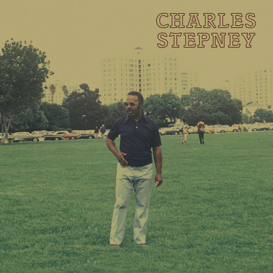 Charles Stepney - Step on Step (Double Black Vinyl)